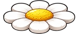 Daisy Platform